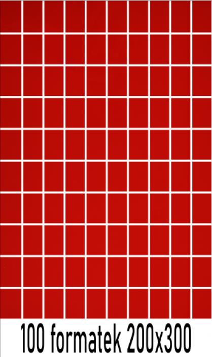 Plexi czerwona 3mm cięta na formatki 200x300 mm